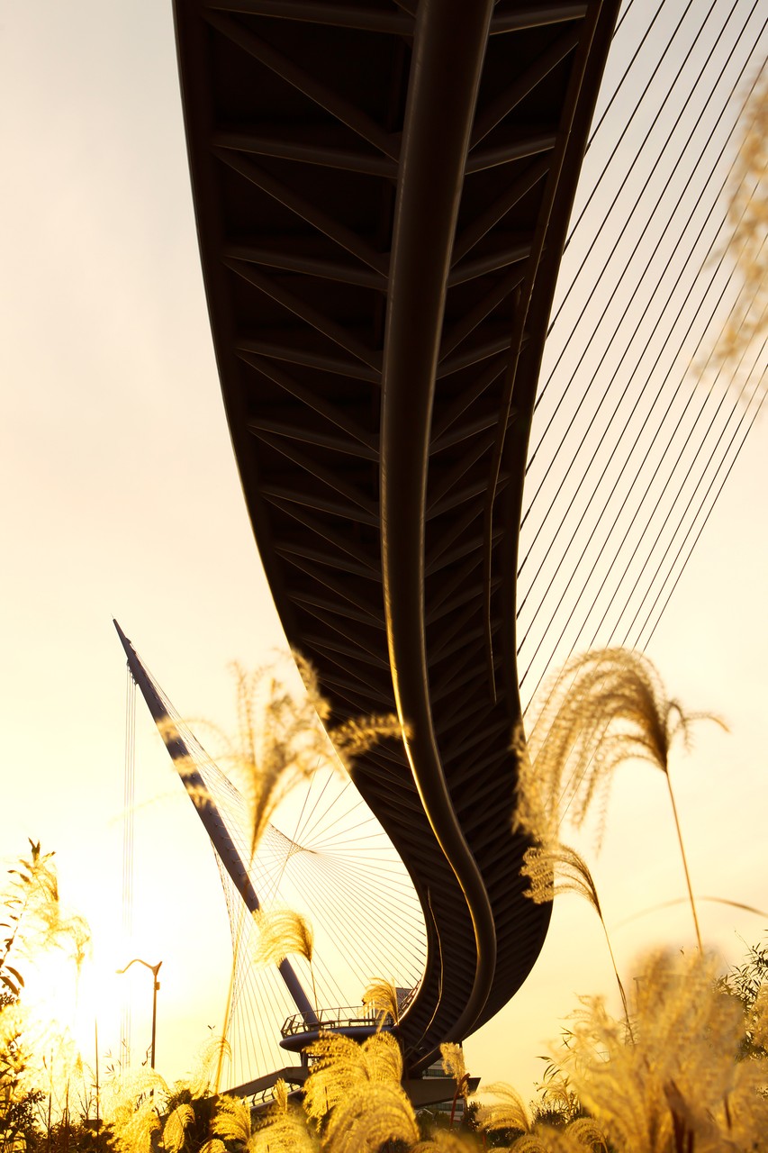 Curved Bridge