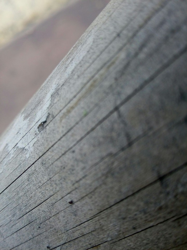wood