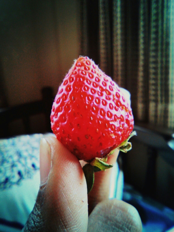 fresh fresh fresh !