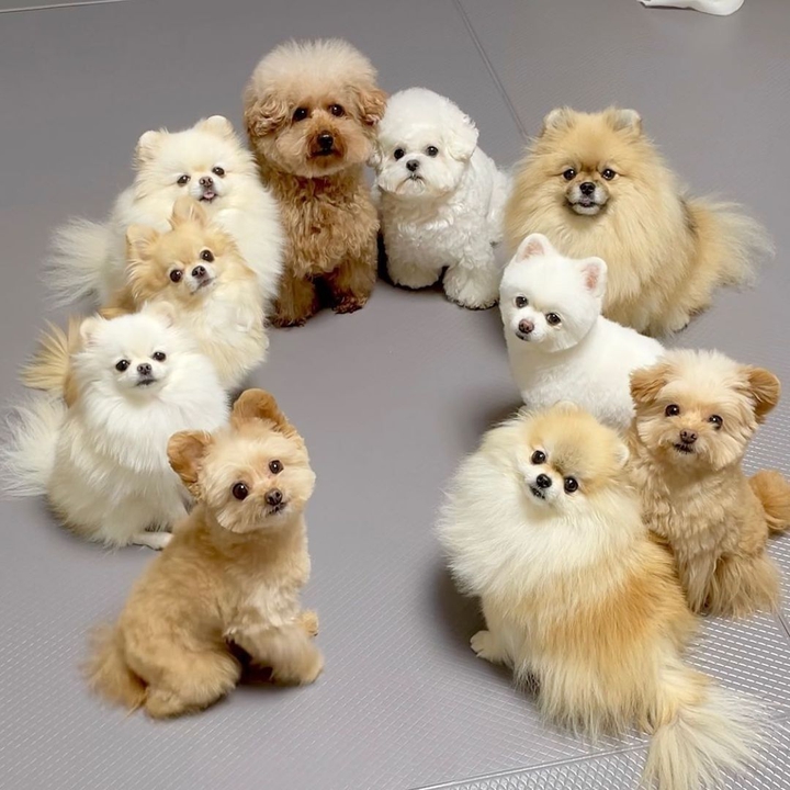 .