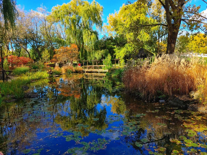 Nature Park in Laval, Qc