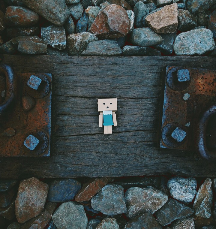 danboard
