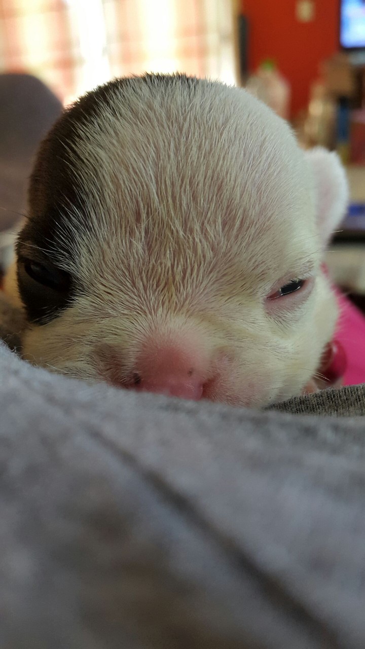 Ella ... Cocó