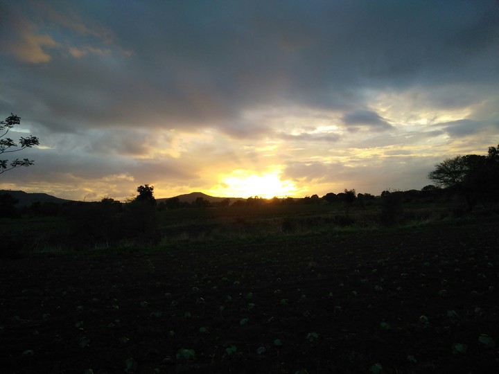 beautiful sunset