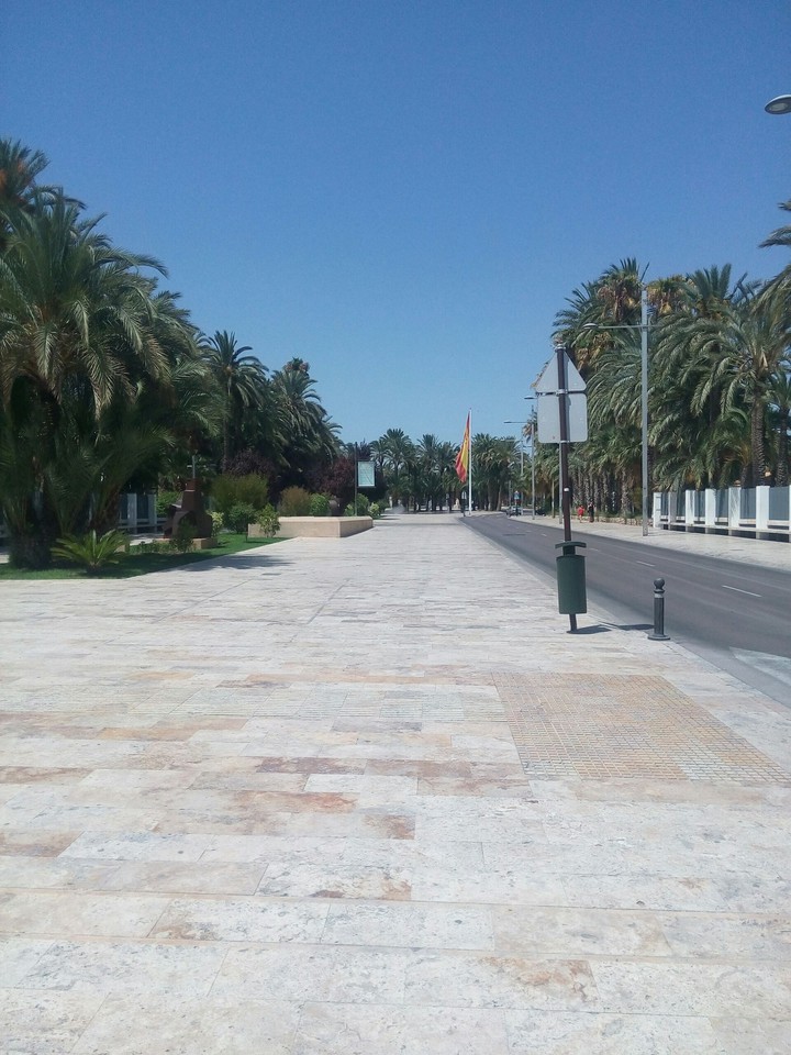 Spot in Elche
