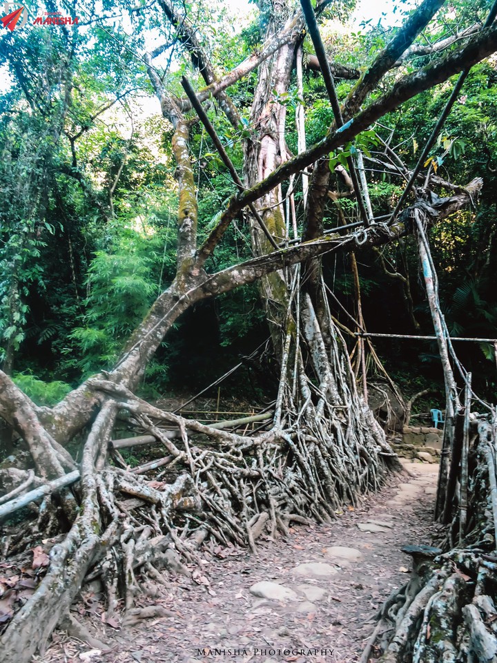 THE NATURAL MARVEL of MEGHALAYA