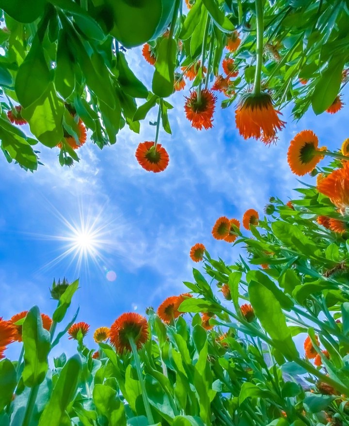 lovely day...