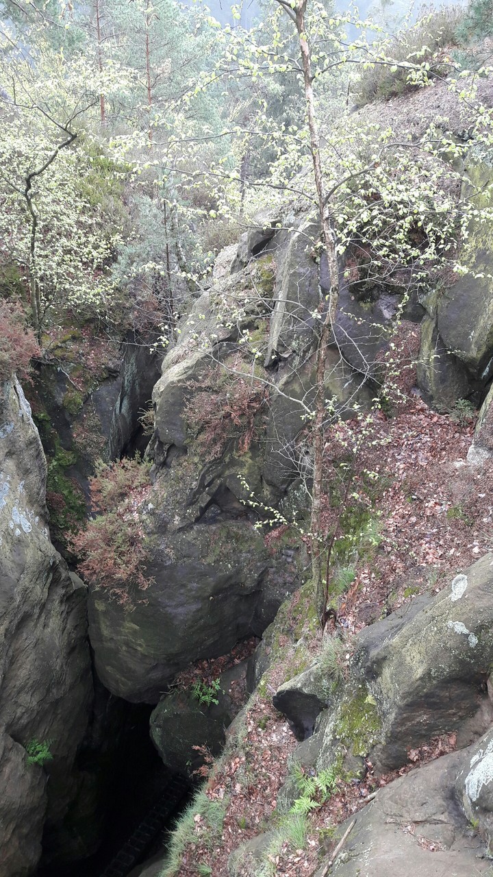 rock