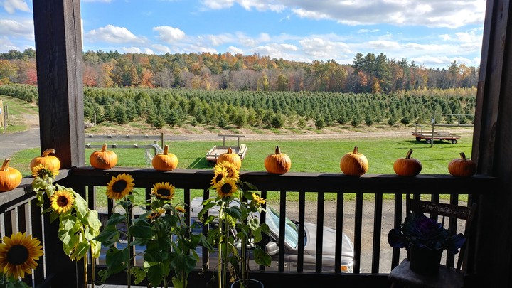 Fall at the farm