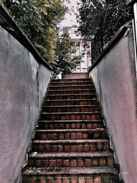 Steps
