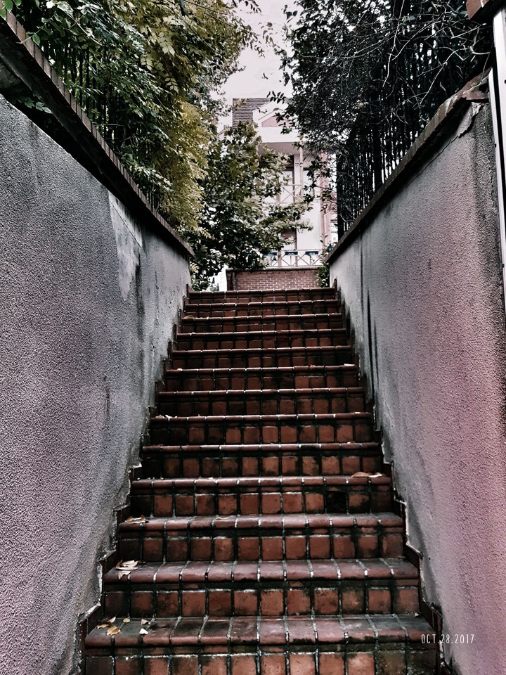 Steps