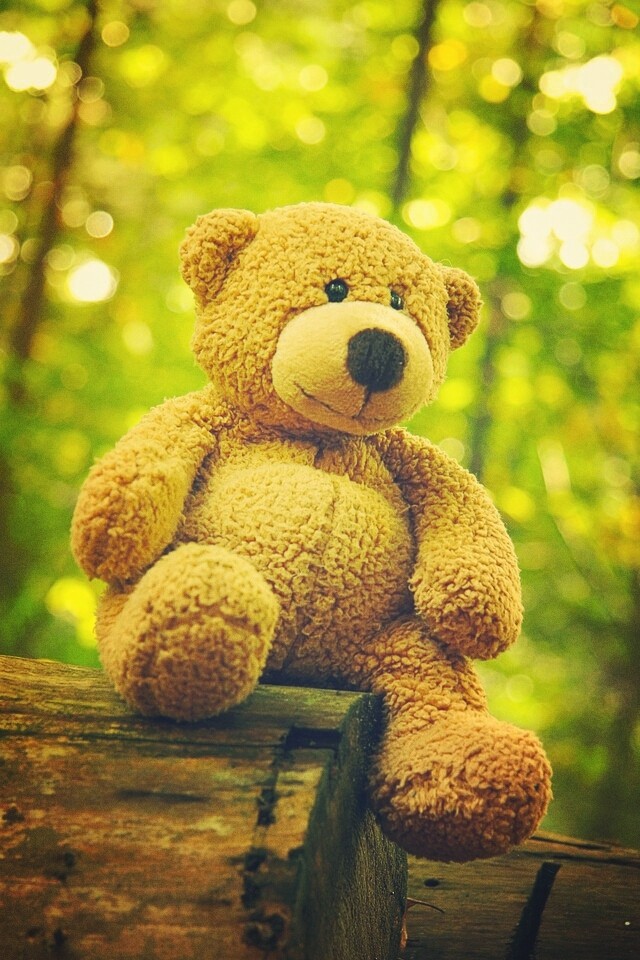 nounours