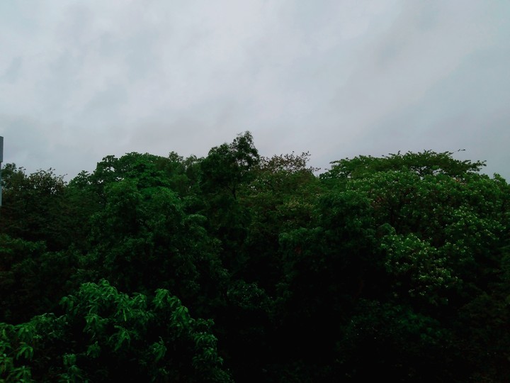 a rainy day