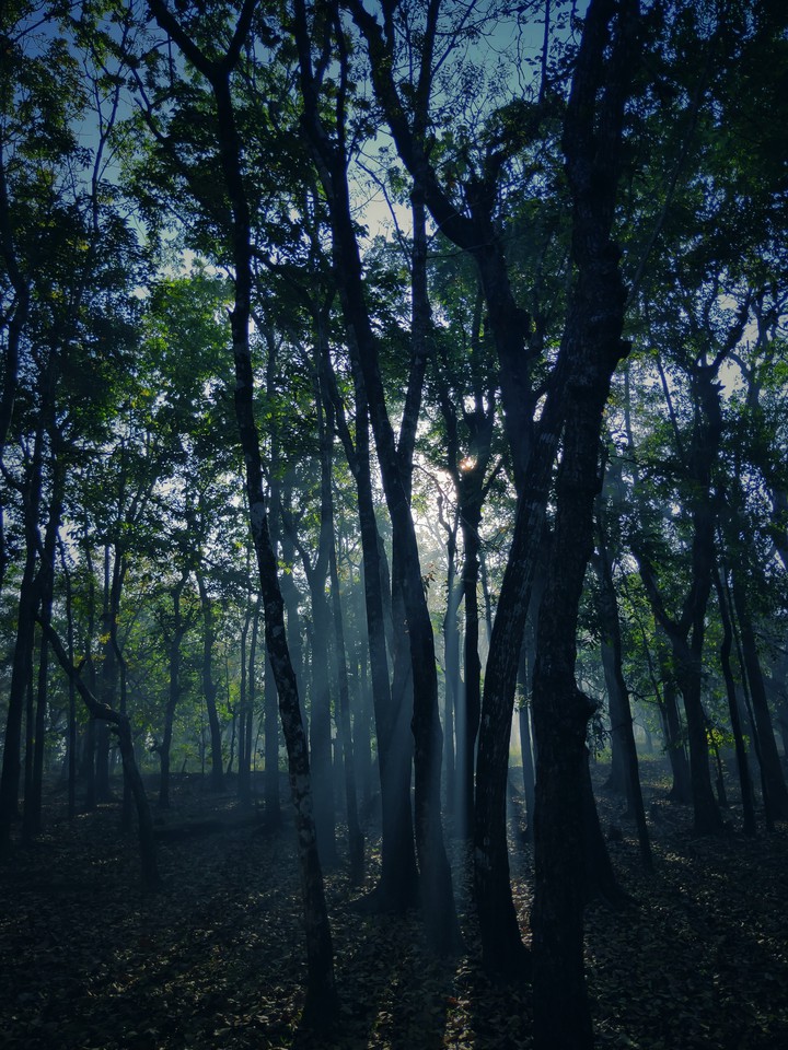 Beautiful morning!