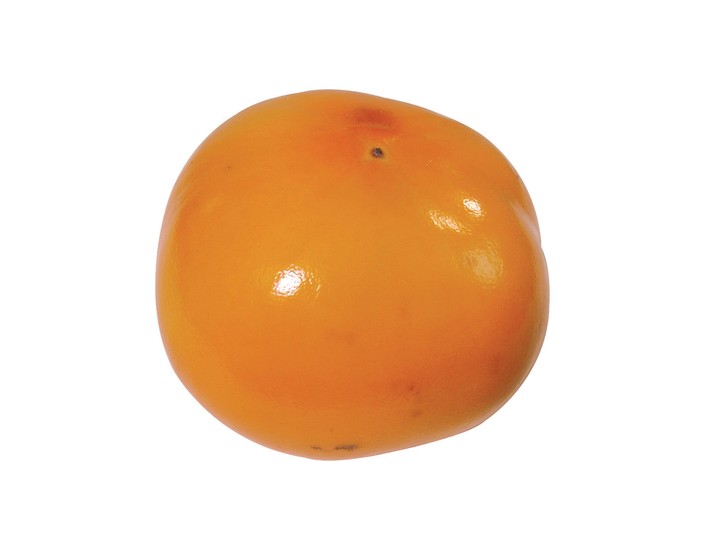 음식이미지