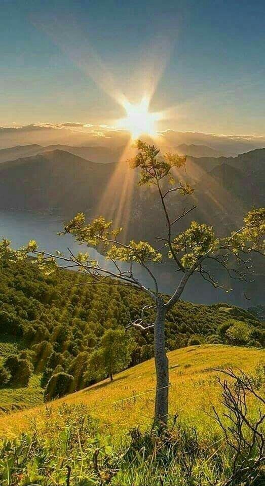 Nature