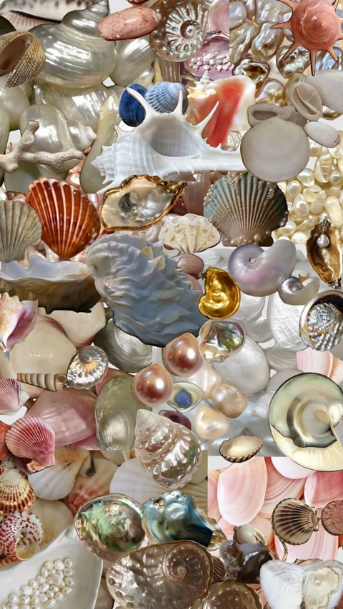 shellfish, Effect Hintergrundbilder
