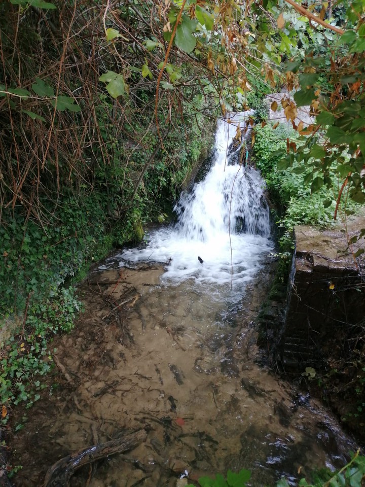 cascate