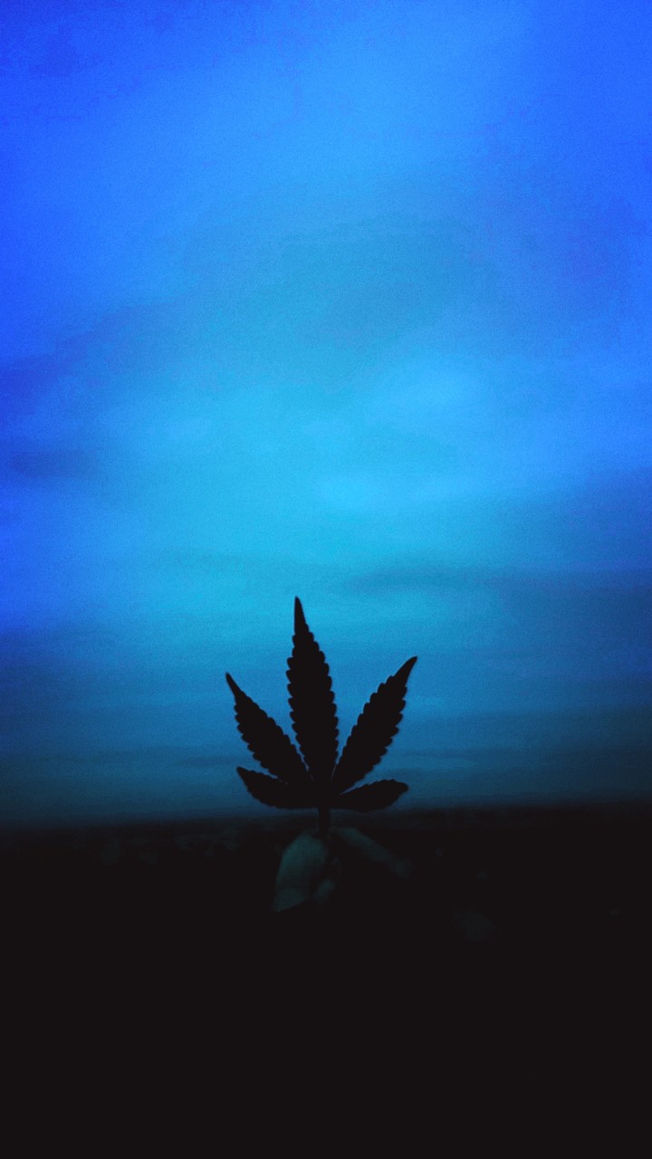 weed