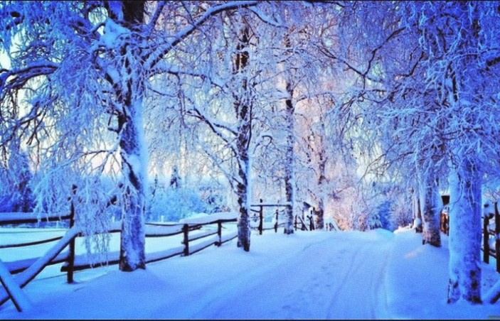 Winter ☃️