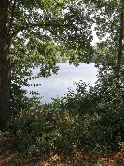 Urlaub am See, Relaxen, Sommer