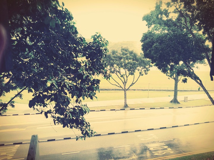 A rainy day