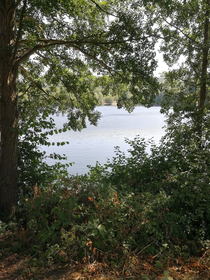 Urlaub am See, Relaxen, Sommer
