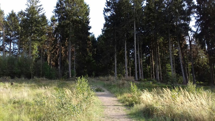 Germany