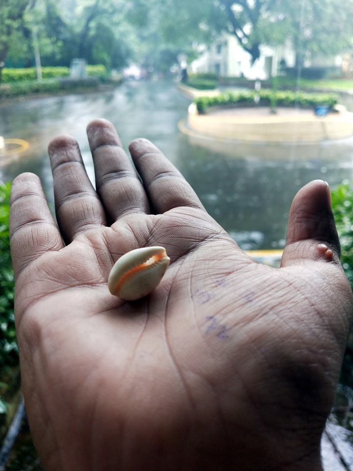 hand