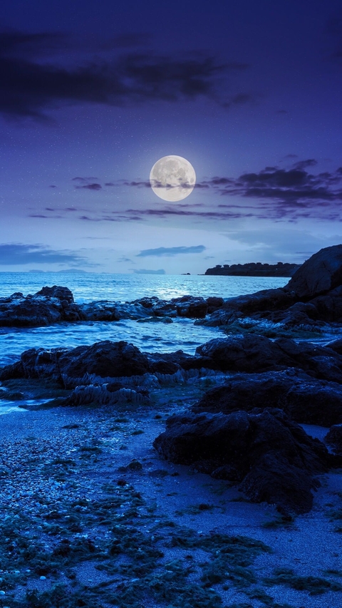 iPhone wallpapers
