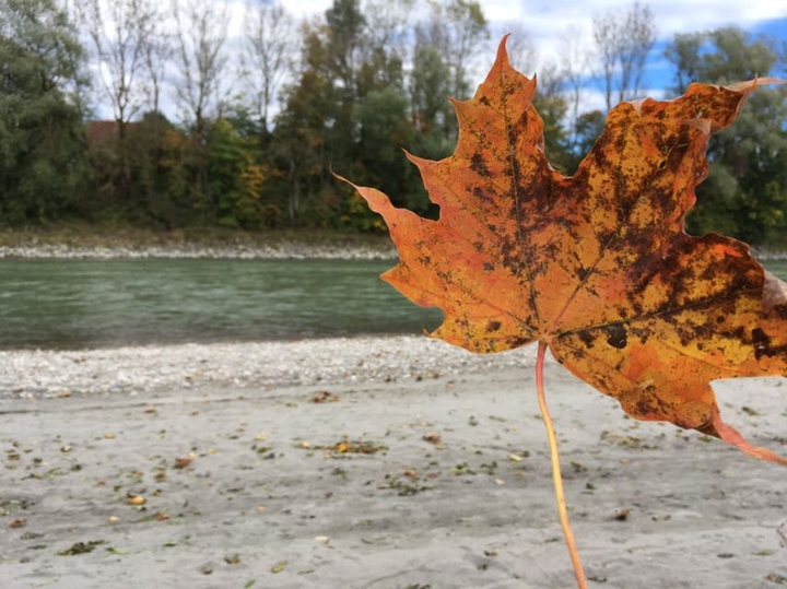 autumn