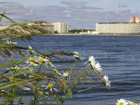coast, sky háttérképek