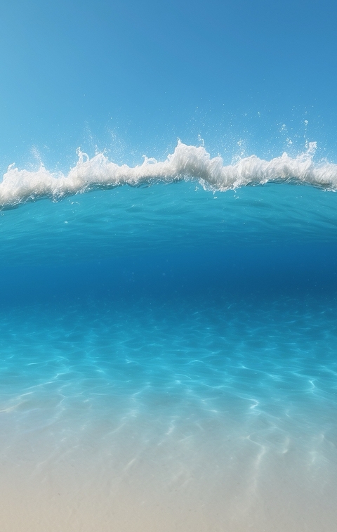 Sea