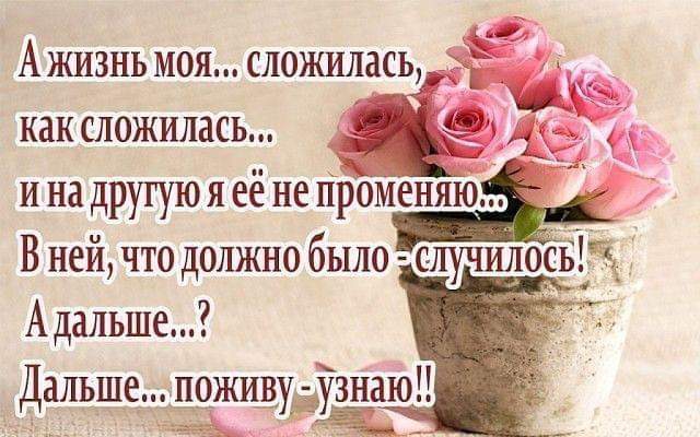жизнь