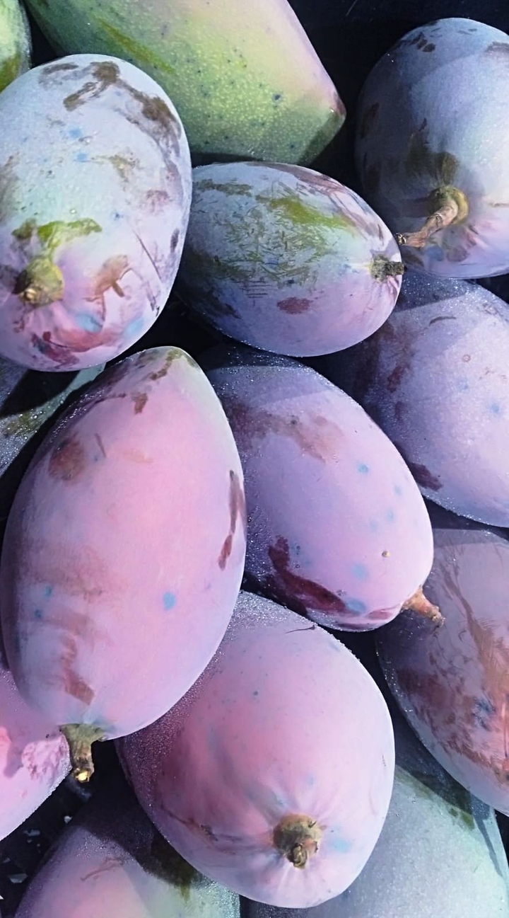 Autumn delights