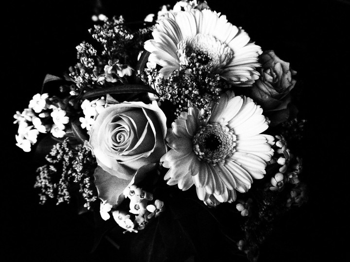 i fiori