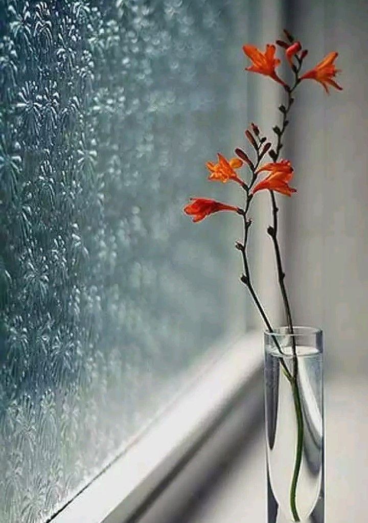 Glassy