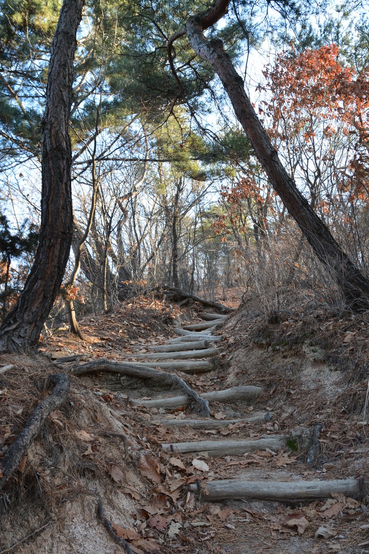 수락산이미지