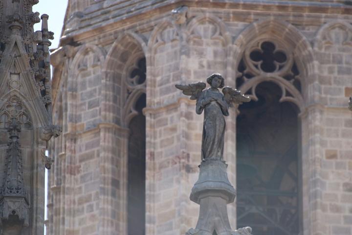 Cathedral Barcelona || Details.