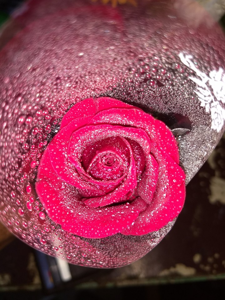 Rose