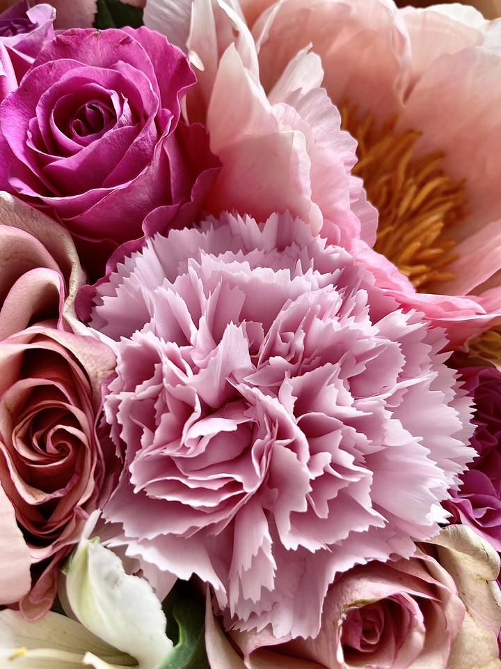 shades of romance