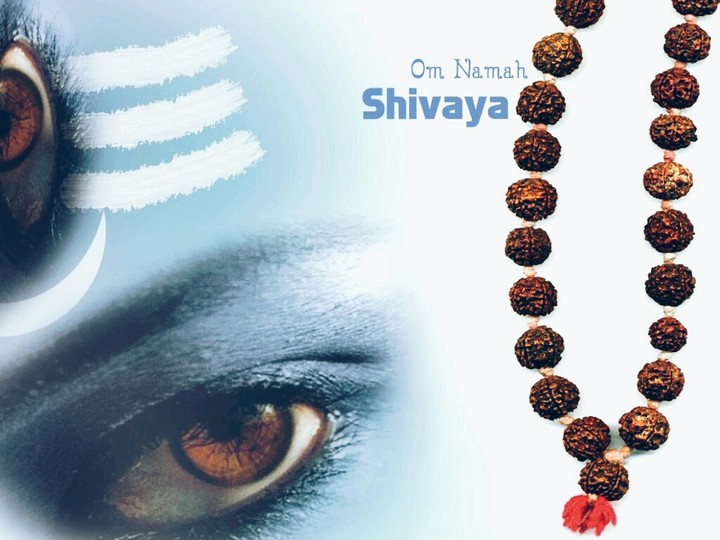 Shivaya Series