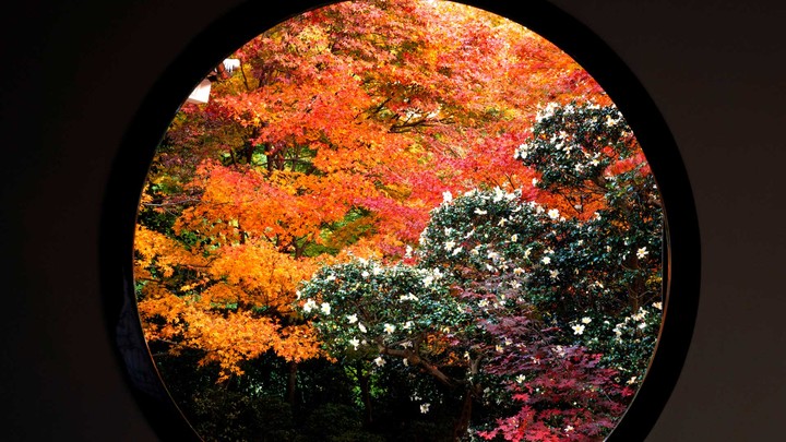 window
