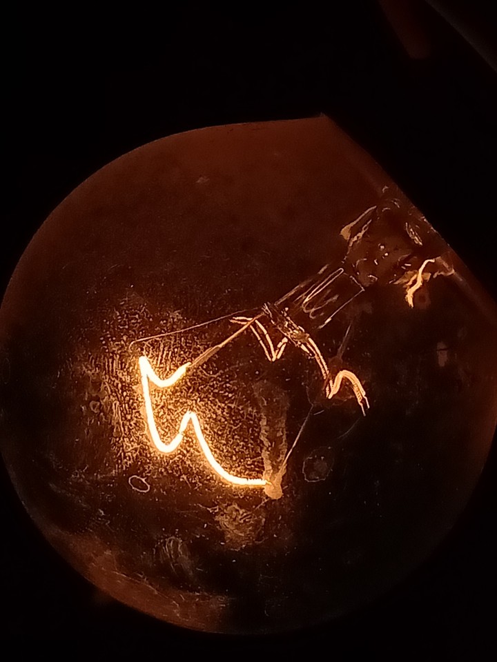 bulb