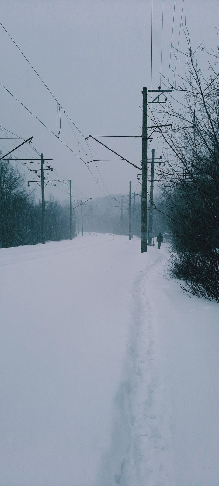 Зима