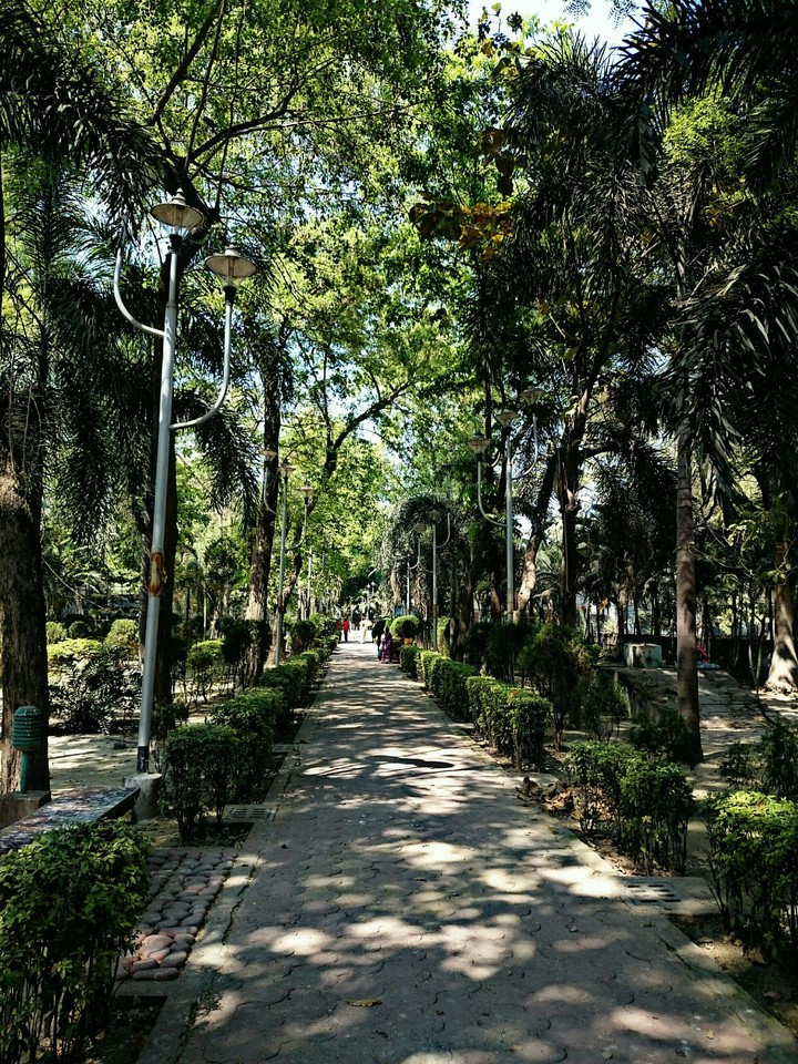 a walk through this lane....