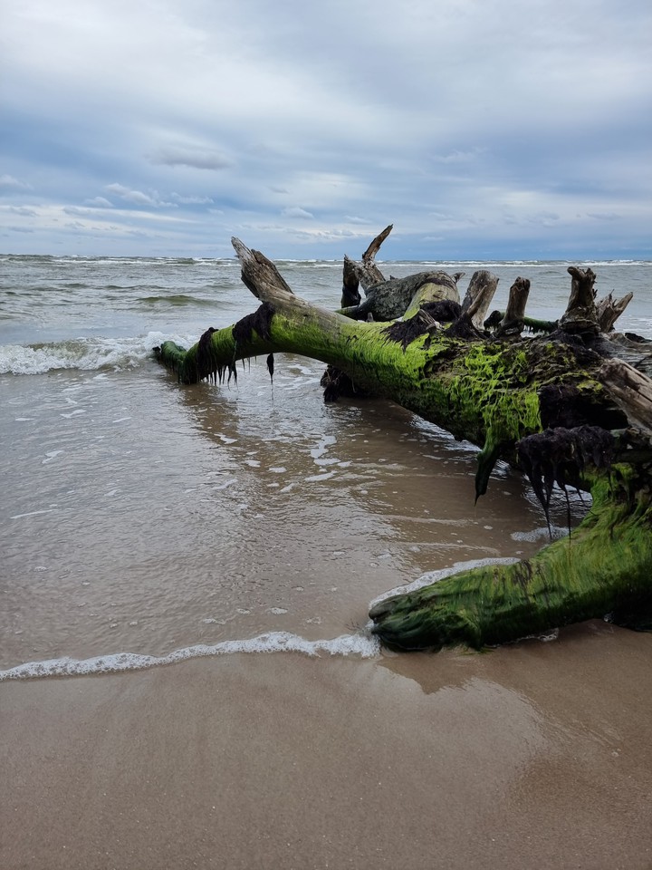 sea