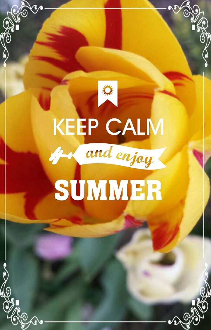 enjoy summer everyone