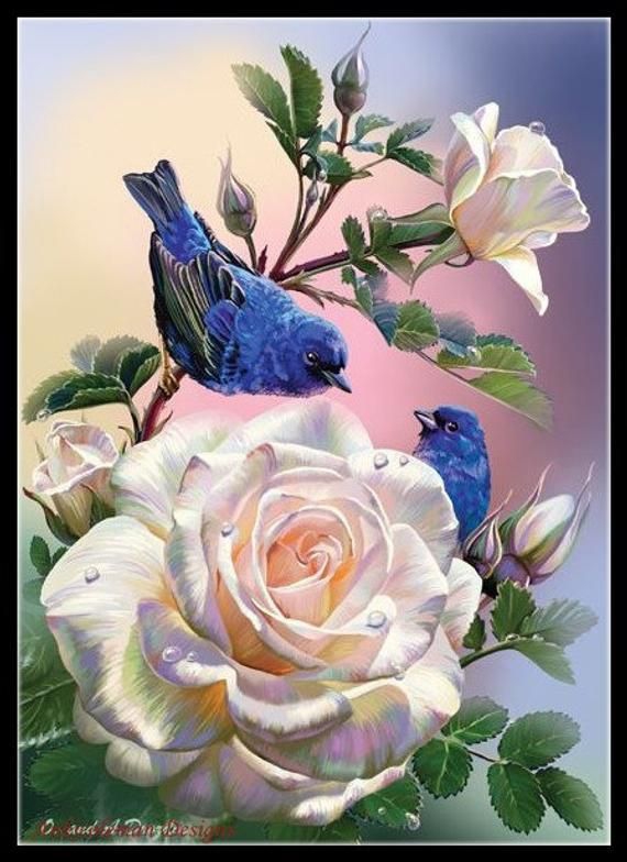 blue birds ♥️