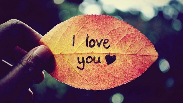leaf...
